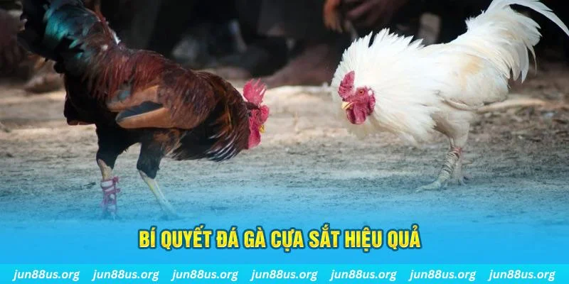 kubet xổ số miền
