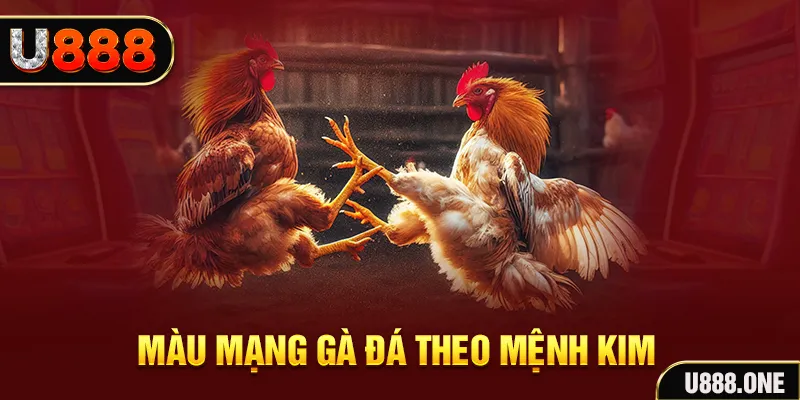 kubet bắn cá kingfun