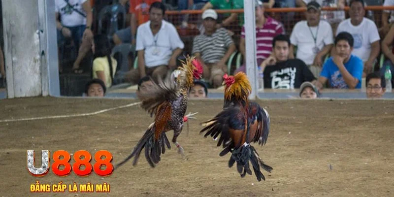 kubet xổ số đồng nai