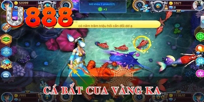 kubet ÁT CHỦ BÀI ĐẤU ĐỊA CHỦ