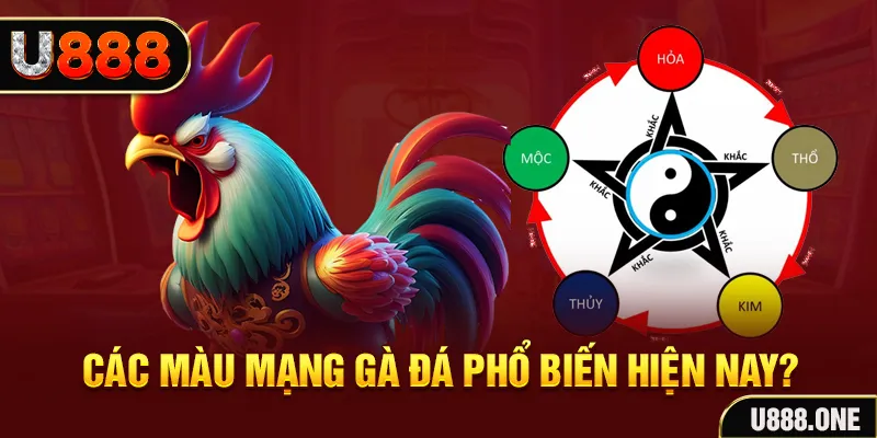 kubet gà chọi mộc hóa