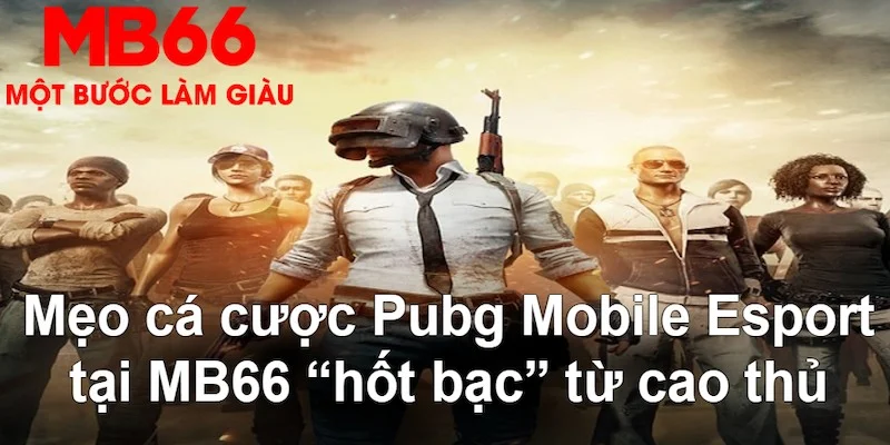 cá cược tiếng anh là gì