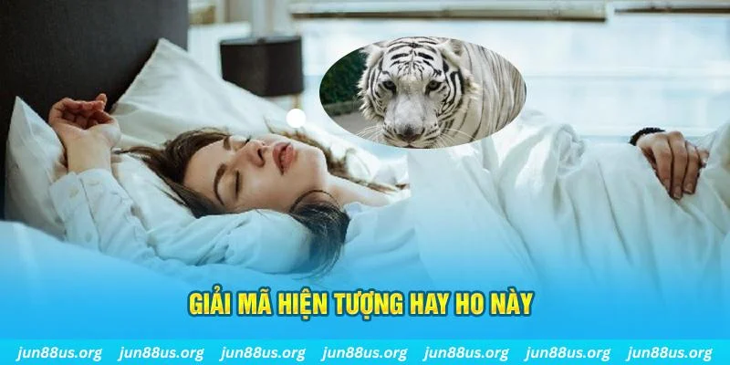 kubet casino máy tính