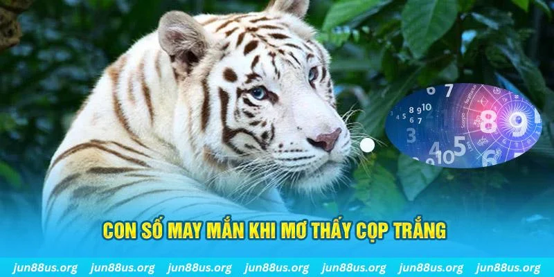kubet bắn cá xèng